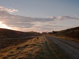 Morgenstemning-IMGP8433
